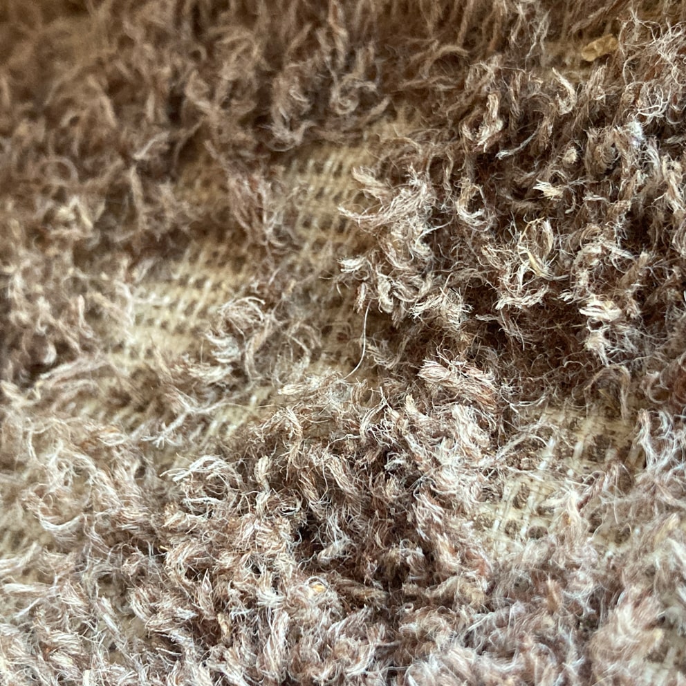 Tips to Protect Your Wardrobes from the Common Clothes Moth & How to Remove Them
