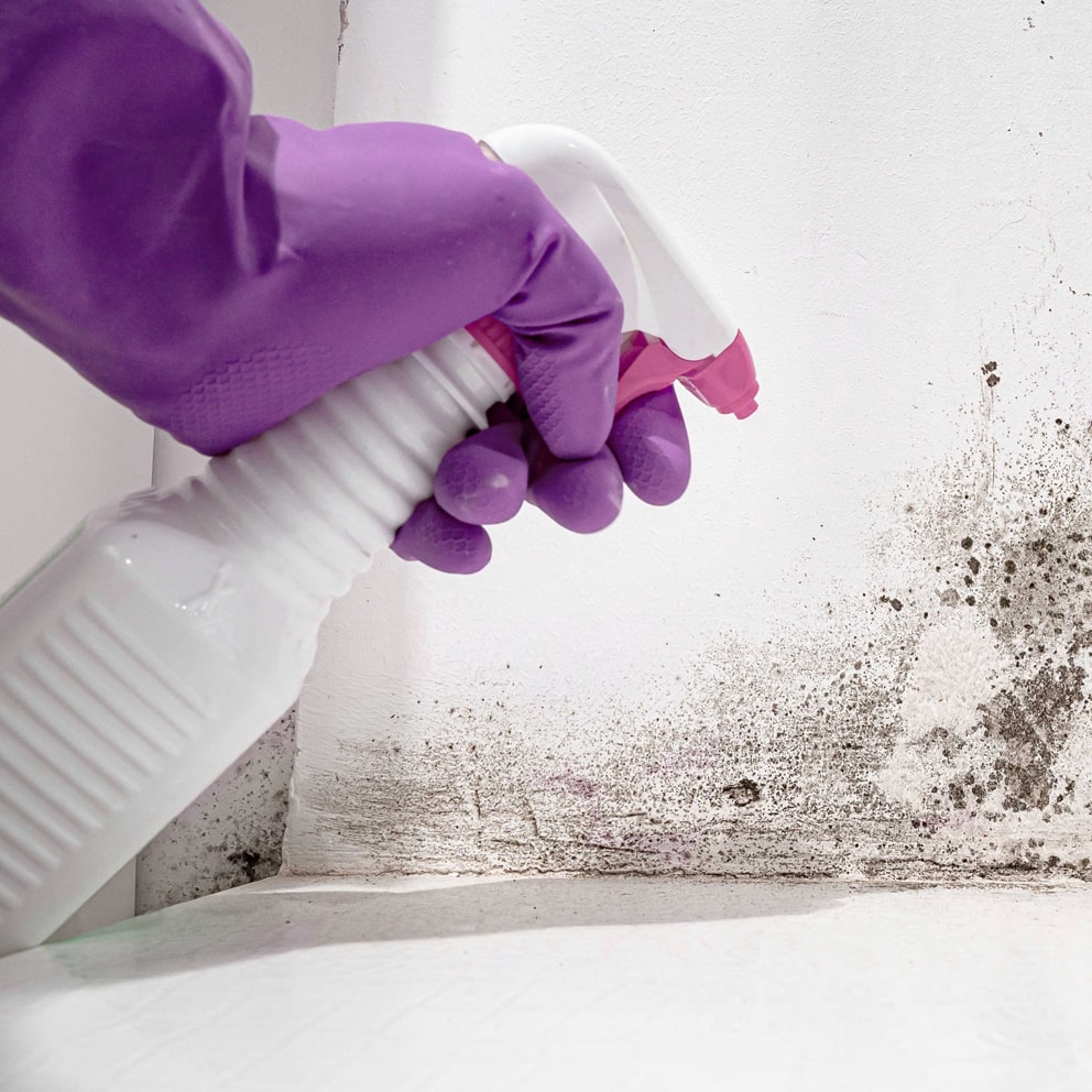 How To Stop Damp In Your Wardrobe: A Guide By DAY & KNIGHT